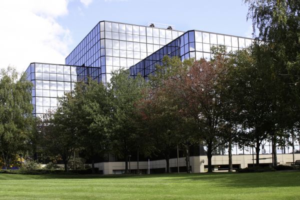 Commercial Tree Trimming in Riverton