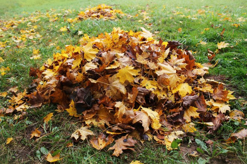 Yard Leaf Management