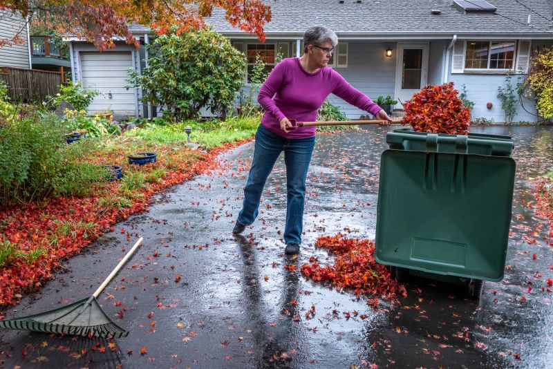 Driveway Leaf Clearing