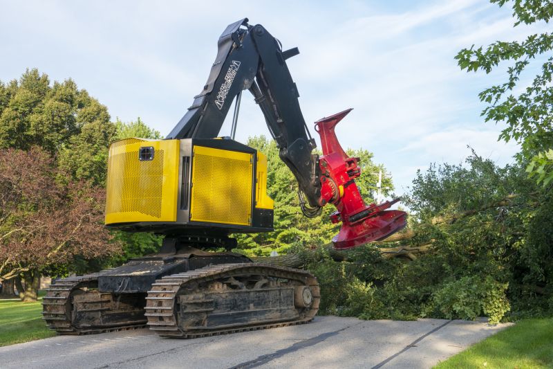 Equipment Used in Tree Removal