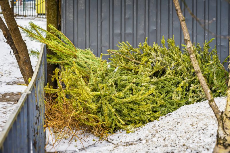 Tree Debris Disposal