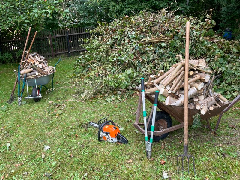 Clearing Fallen Tree Debris